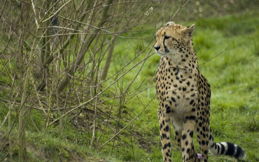 Photography by Fairfax2005 for DesignCrowd (Community Contests) | Design #9019405