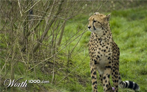 Photography by Fairfax2005