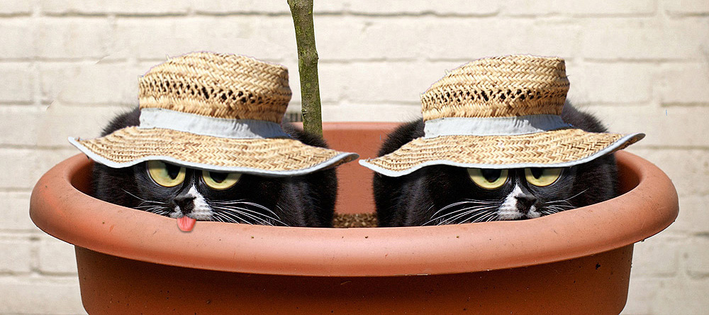 Diseño de Photoshop por RickLaMesa para DesignCrowd (Community Contests) | Diseño #9015367