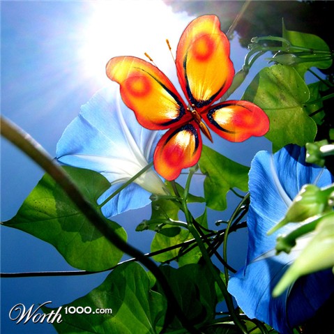 Photoshop Design by bingobaby