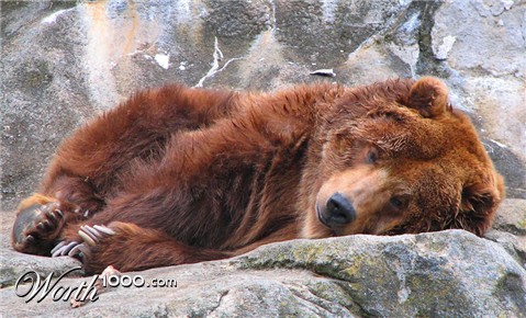 Photography by UnoBADFISH