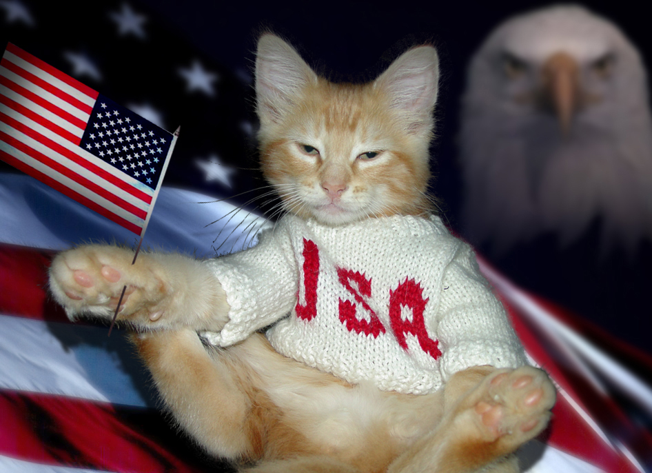 Photoshop Design by NeeNeeLouWho for DesignCrowd (Community Contests) | Design #9015319