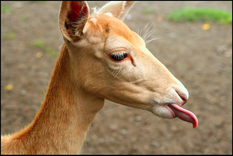 Photographie par jayjay007 pour DesignCrowd (Community Contests) | Design #9019510