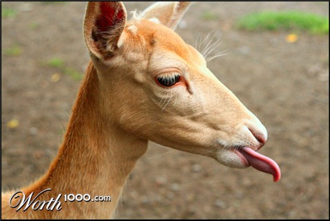 Photography by jayjay007