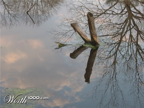Photography by Artemis24