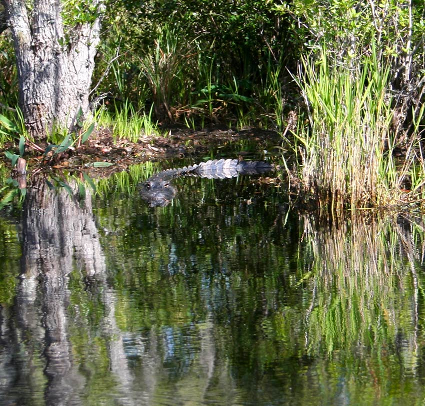 Photographie par drdonallen pour DesignCrowd (Community Contests) | Design #9024159