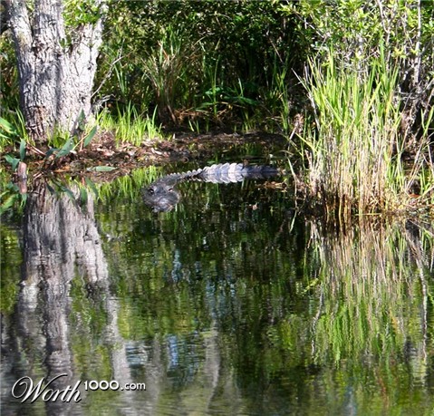 Photography by drdonallen