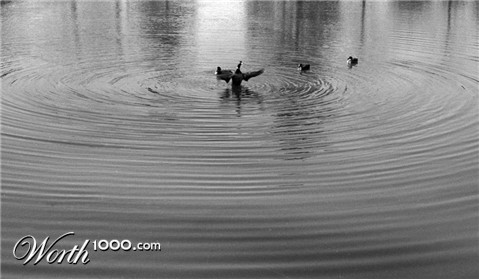 Photography by scarpino36109