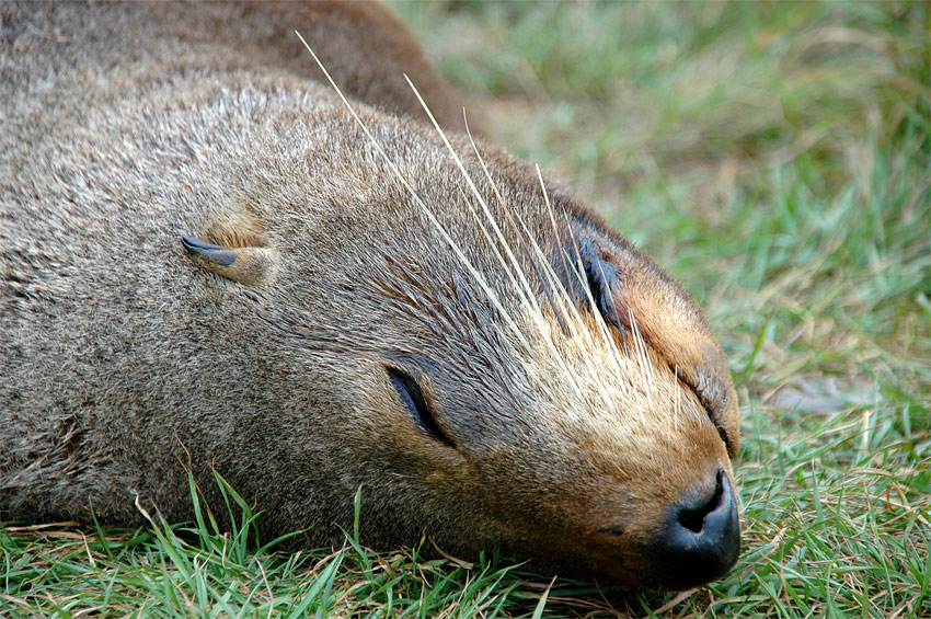 Photographie par shazamataz pour DesignCrowd (Community Contests) | Design #9019531