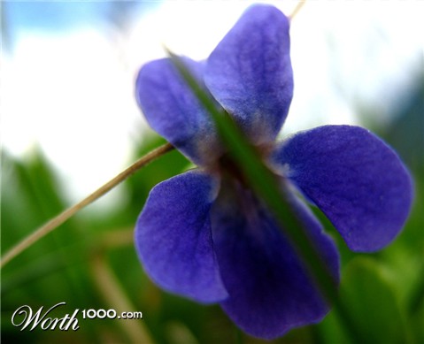 Photography by ruxa2na