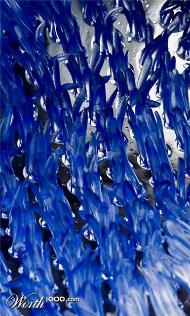 Photography by georgethedog