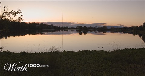 Photography by georgethedog