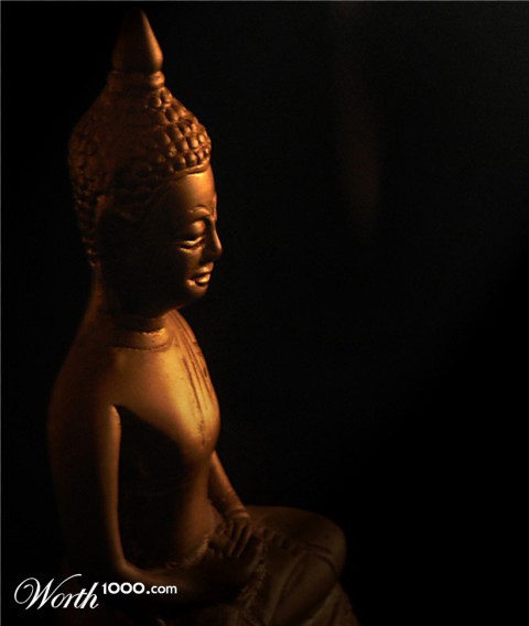 Photography by gymp93