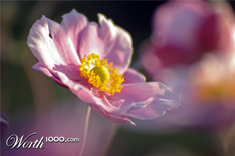 Photography by splong