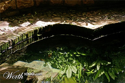 Photography by splong