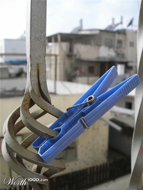 Photography by meryli