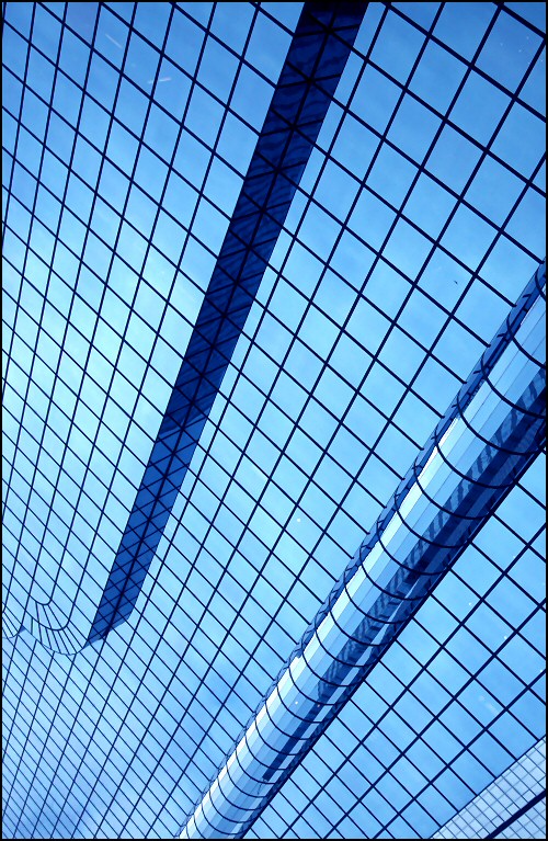 Photographie par Juicer pour DesignCrowd (Community Contests) | Design #9018049