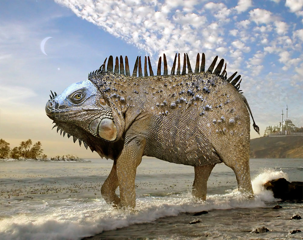 Photoshop Design by ozplasmic for DesignCrowd (Community Contests) | Design #9016076