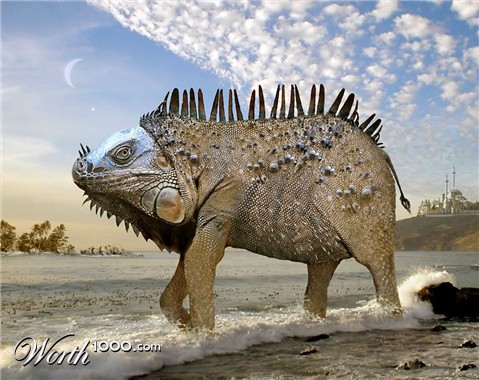 Photoshop Design by ozplasmic