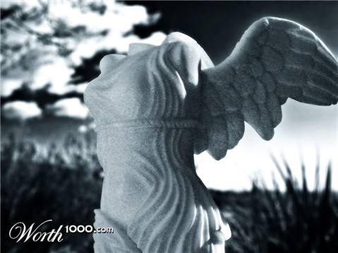 Photography by westsidecreations