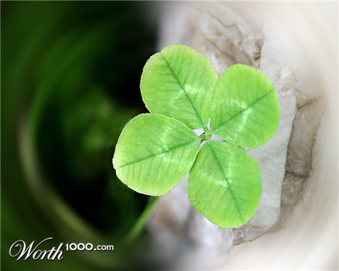 Photography by starrwalker