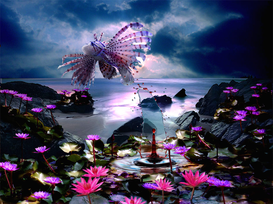 Photoshop Design by DutchPuh for DesignCrowd (Community Contests) | Design #9016185