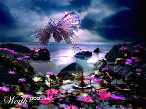 Photoshop Design by DutchPuh