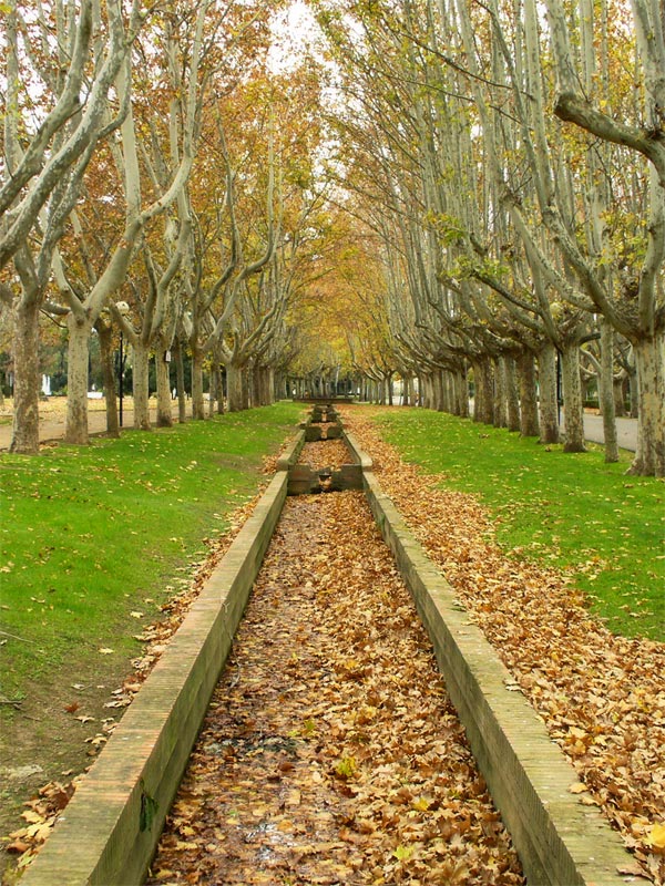 Fotografie von IsleofJura für DesignCrowd (Community Contests) | Design #9016669