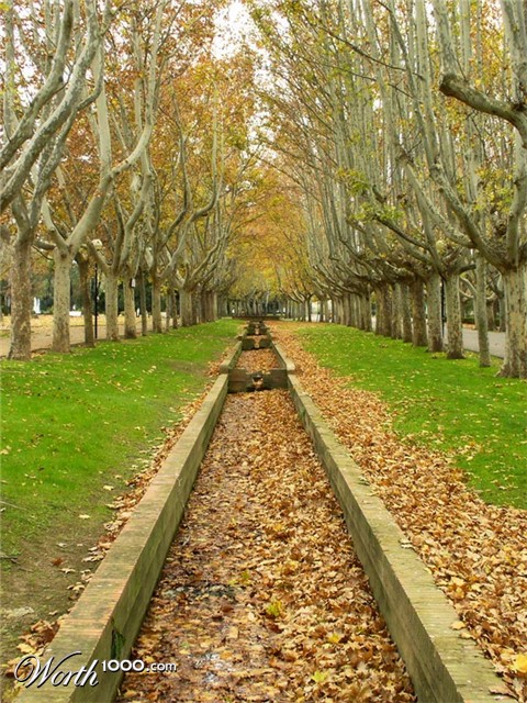 Photography by IsleofJura