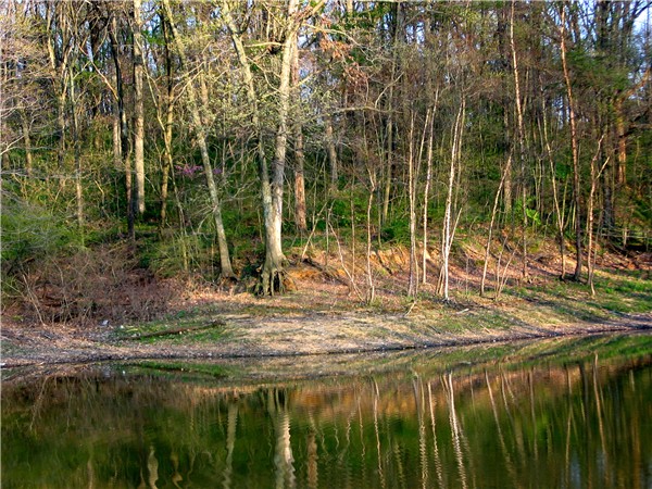 Photography by quin10 for DesignCrowd (Community Contests) | Design #9016708