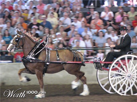 Photography by Momspc