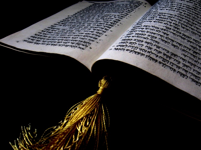 Fotografía por danata para DesignCrowd (Community Contests) | Diseño #9017081