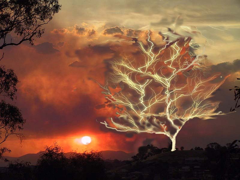 Photoshop Design by Ivor121 for DesignCrowd (Community Contests) | Design #9016261