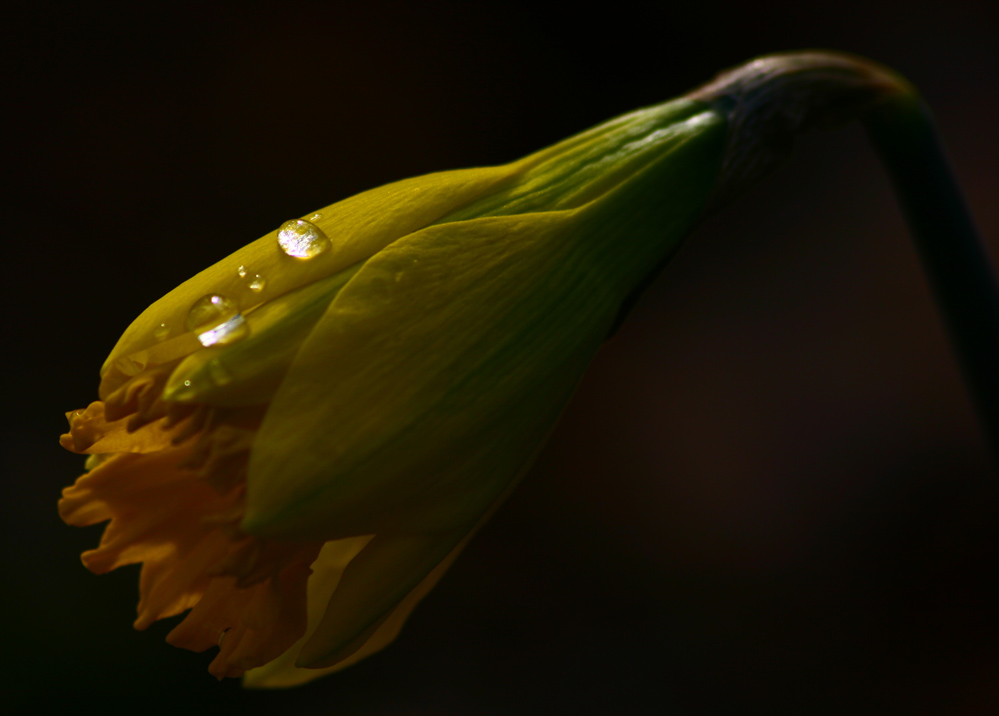 Photographie par pykeman pour DesignCrowd (Community Contests) | Design #9017161