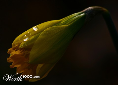 Photography by pykeman