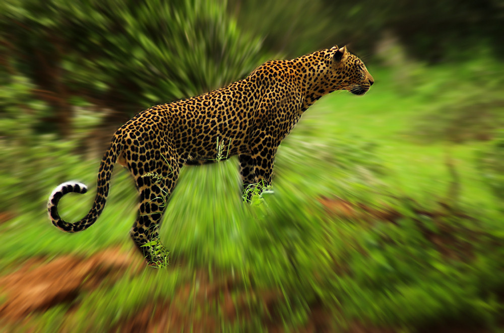 Photography by unit25 for DesignCrowd (Community Contests) | Design #9021088