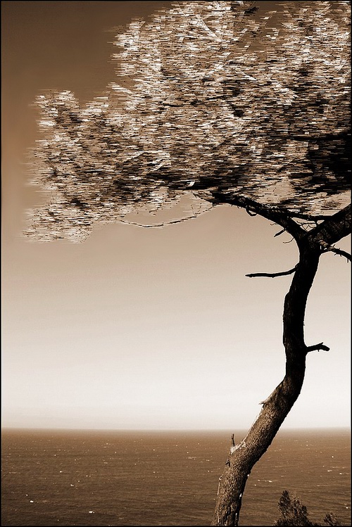 Photography by Jesusito for DesignCrowd (Community Contests) | Design #9021099