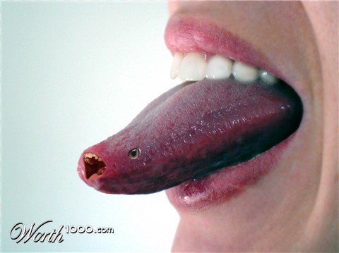 Photoshop Design by MackinCheese