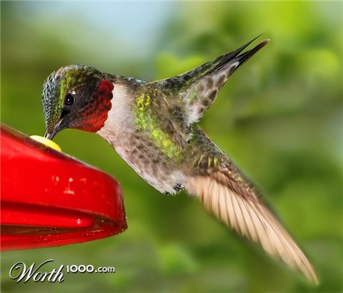 Photoshop Design by Sassydeb