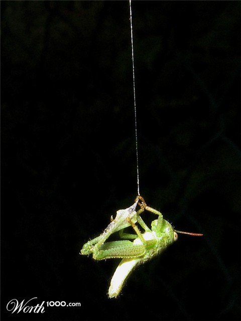 Photography by Firenzesca