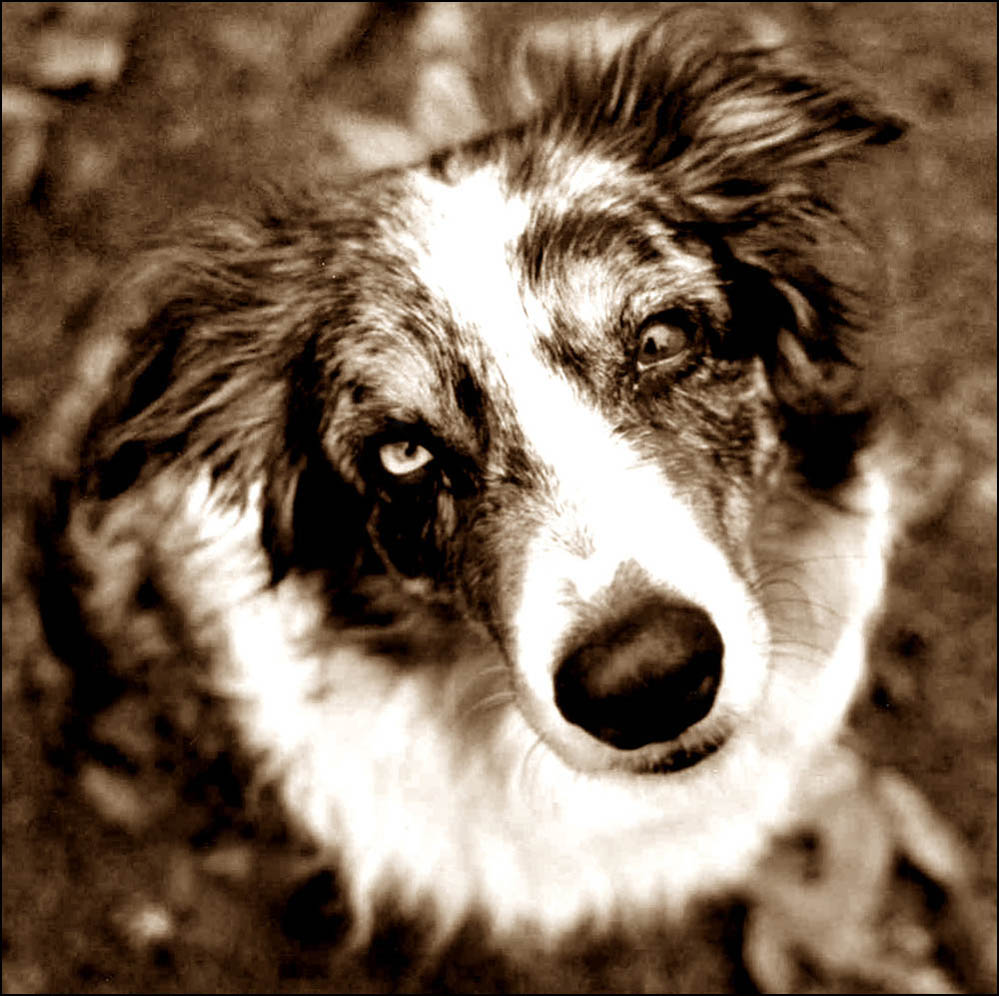 Photographie par pykeman pour DesignCrowd (Community Contests) | Design #9013296