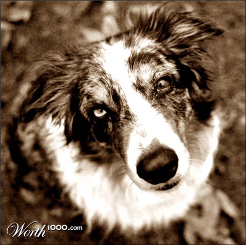 Photography by pykeman