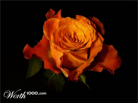 Photography by Berilu