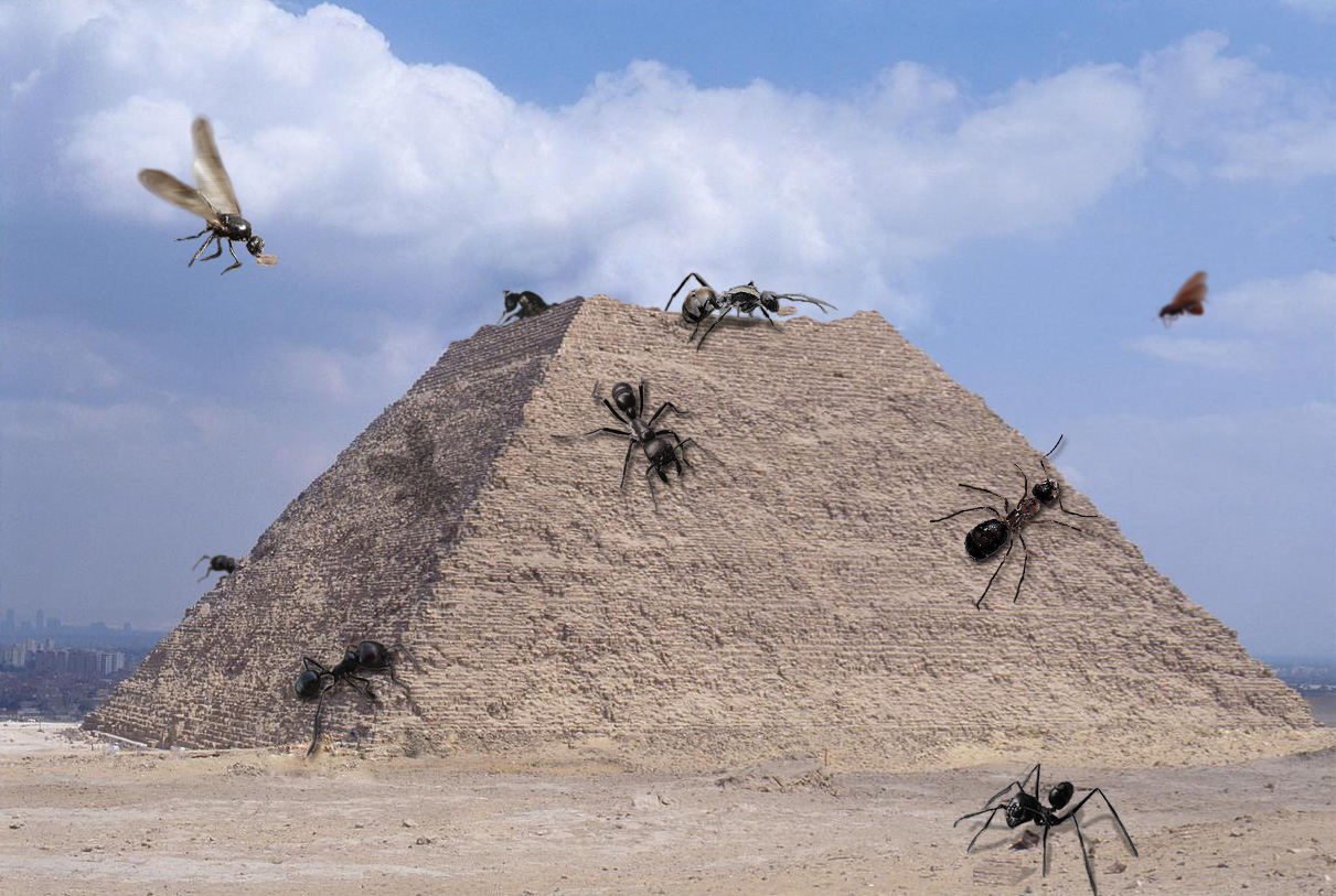 Photoshop Design by machacasaurio for DesignCrowd (Community Contests) | Design #9014449