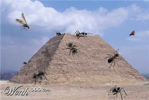 Photoshop Design by machacasaurio