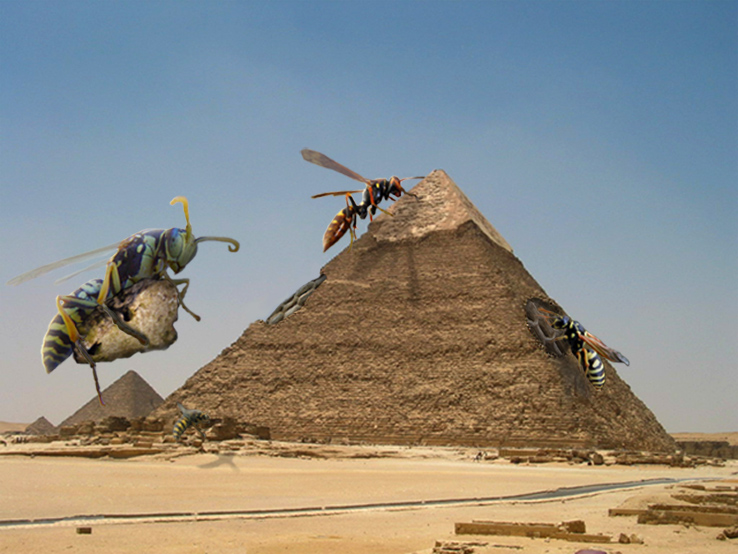 Diseño de Photoshop por Plebite para DesignCrowd (Community Contests) | Diseño #9014463