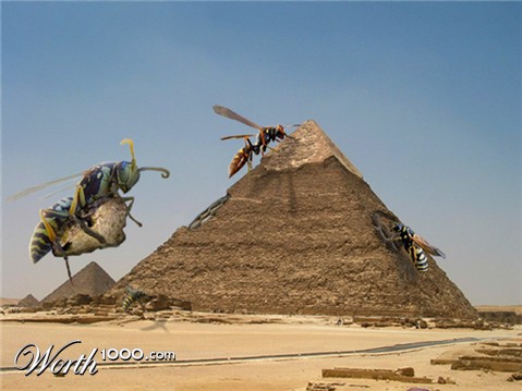 Photoshop Design by Plebite