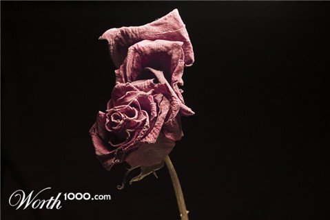 Photography by Reconban