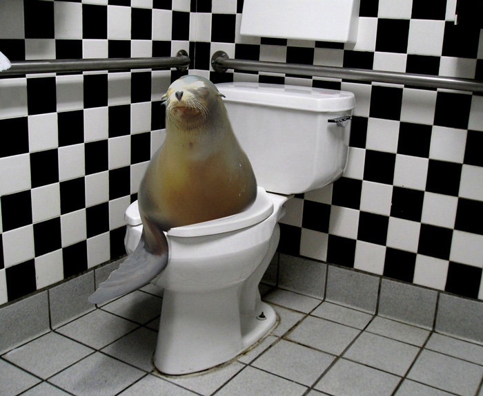 Photoshop Design by mattbyng for DesignCrowd (Community Contests) | Design #9015099