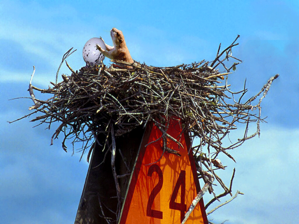 Photoshop Design by paranoidelusion for DesignCrowd (Community Contests) | Design #9015101